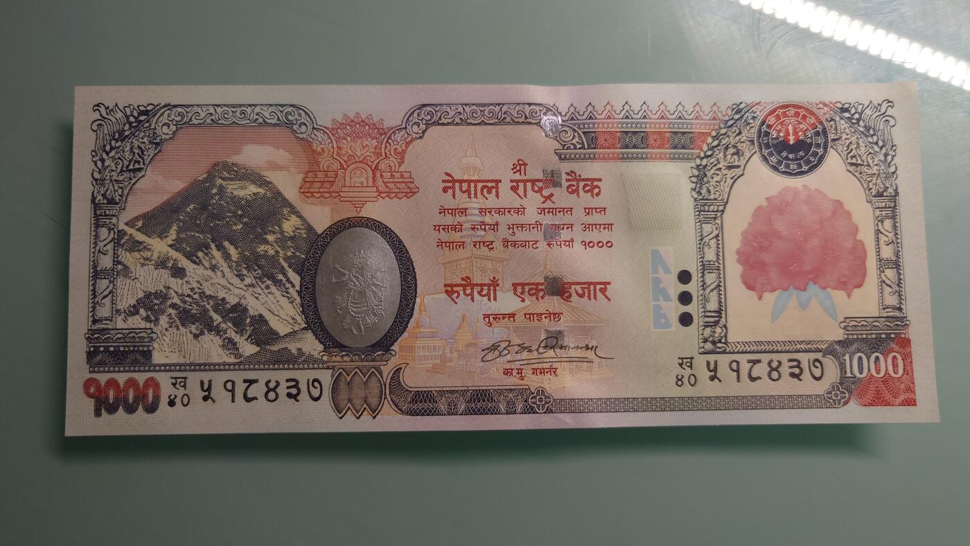 【世界钱币】精选微拍第115期暨2024年第26期  最新维港币展部分卖剩货品展销 2008年尼泊尔1000卢比 大红花版较少见 全新绝品(1)