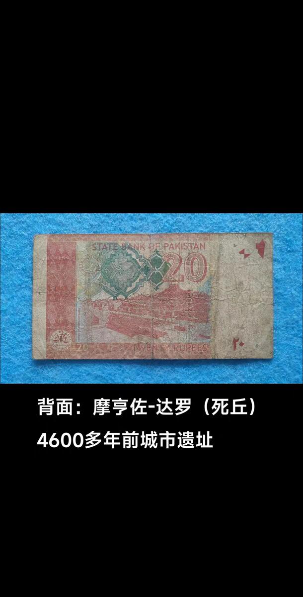 07月07日 世界币章 巴基斯坦 2017年 20卢比 残废品 右侧号码飘飞移失一半 旧品相