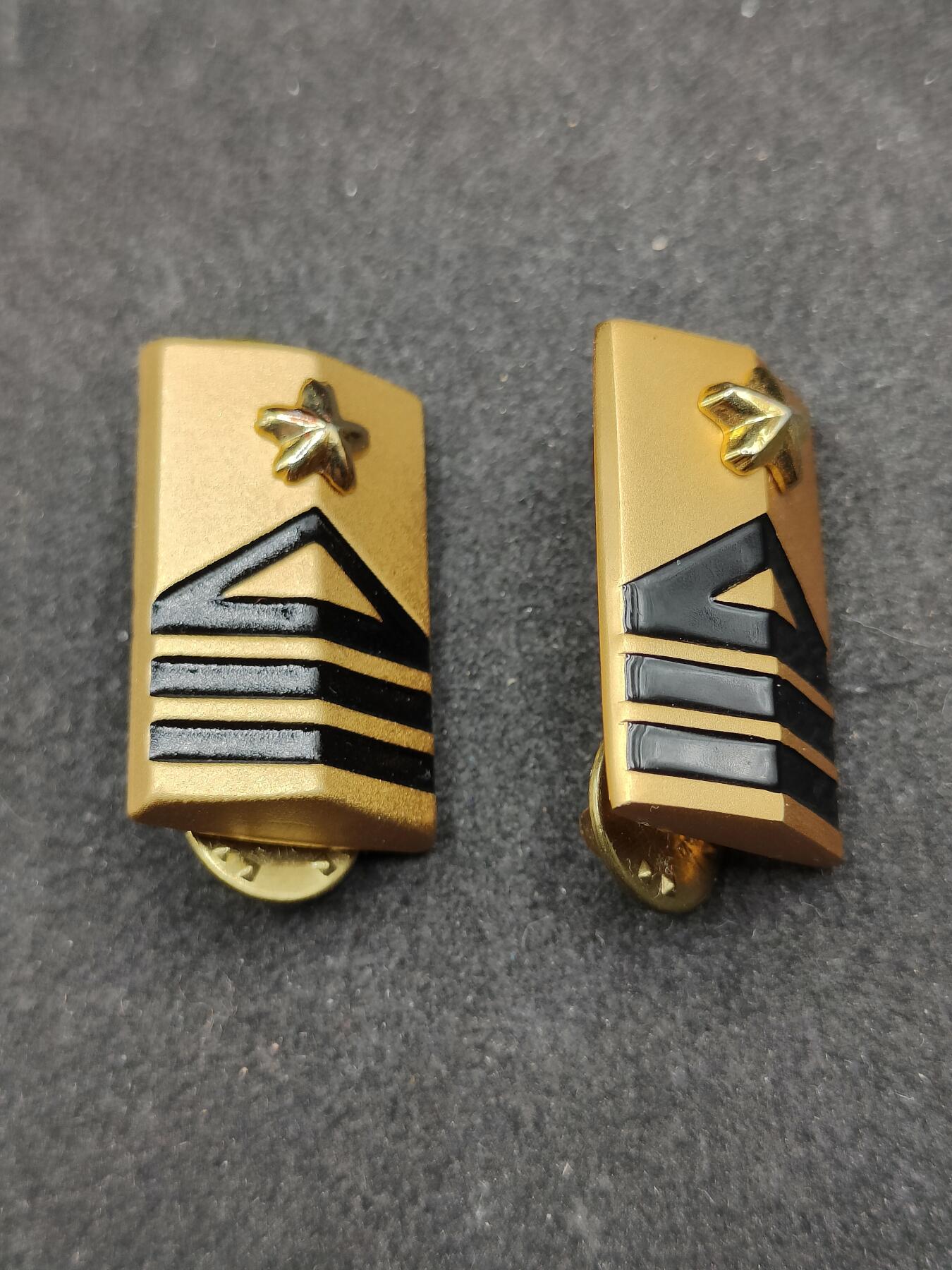 全场0元起拍 第168期 咸鱼国勋章拍卖专场 6月26日（周三）下午6：00开始 日本陆自曹士/下士官领章一对