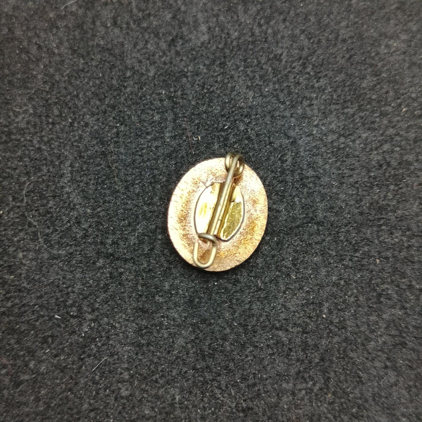 全场0元起拍 第168期 咸鱼国勋章拍卖专场 6月26日（周三）下午6：00开始 早期东德社会统一党珐琅党徽