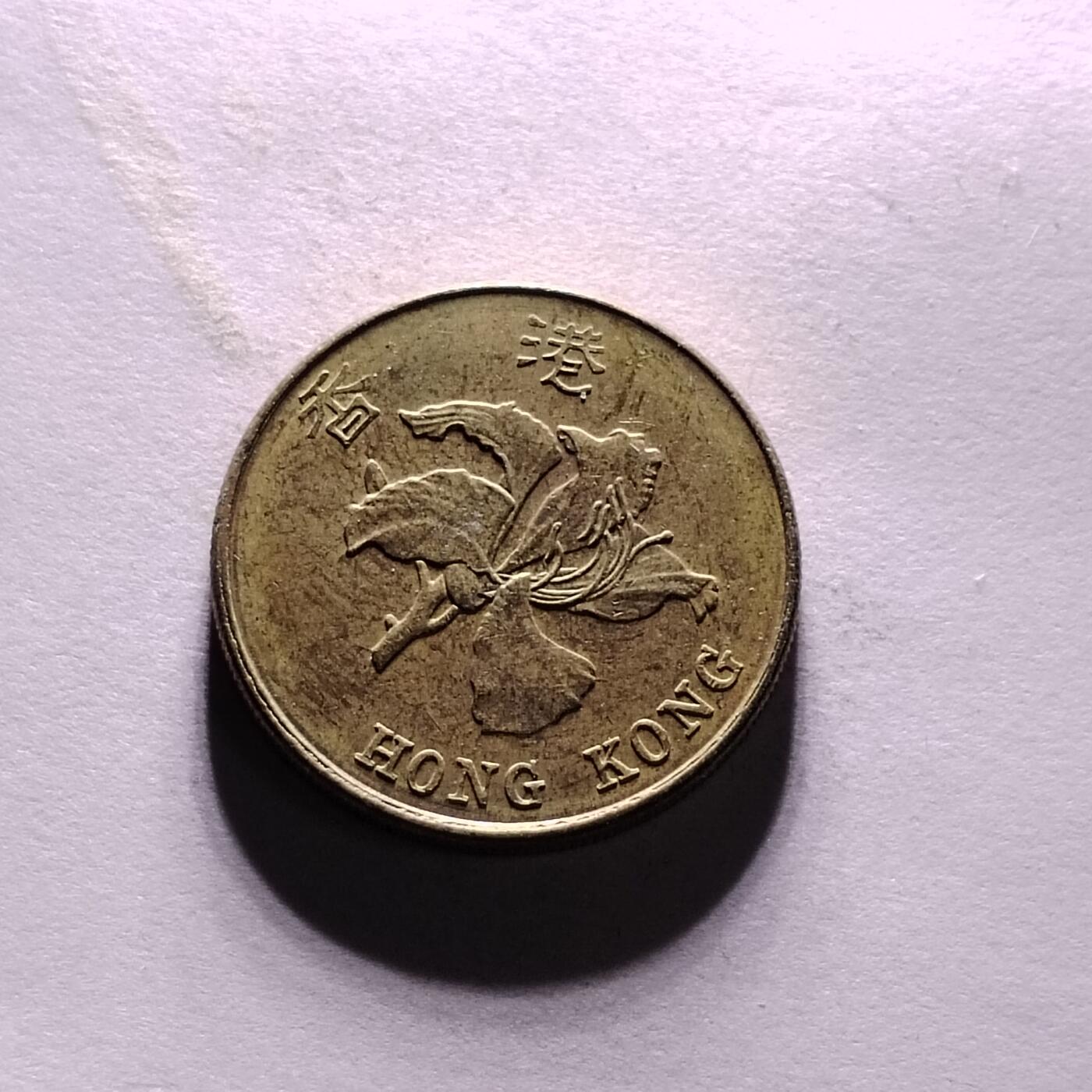 20240622 2015玩年份的来