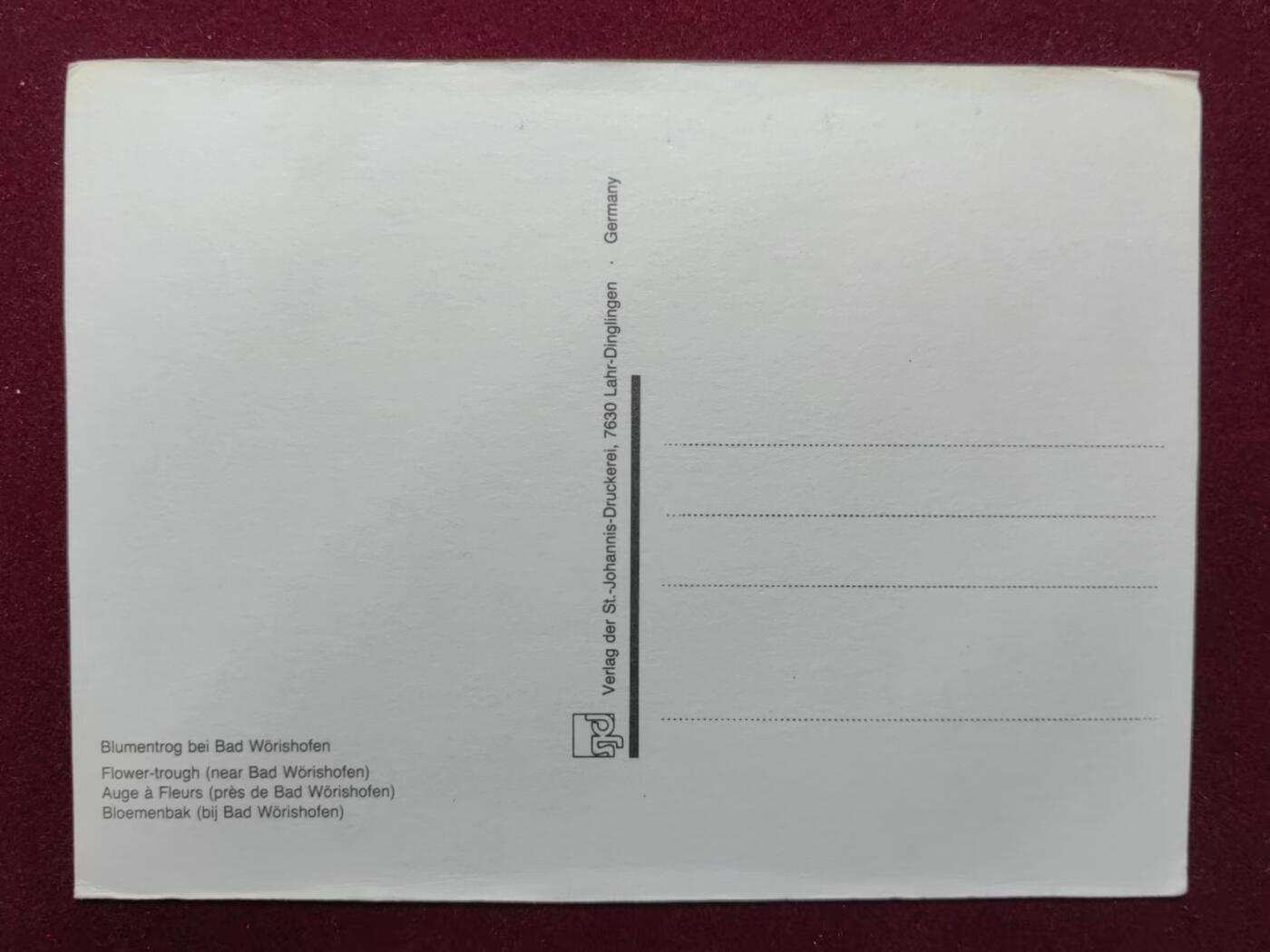 联合阁邮币社™ ——“明信片专场” 巴德沃里斯霍芬花槽