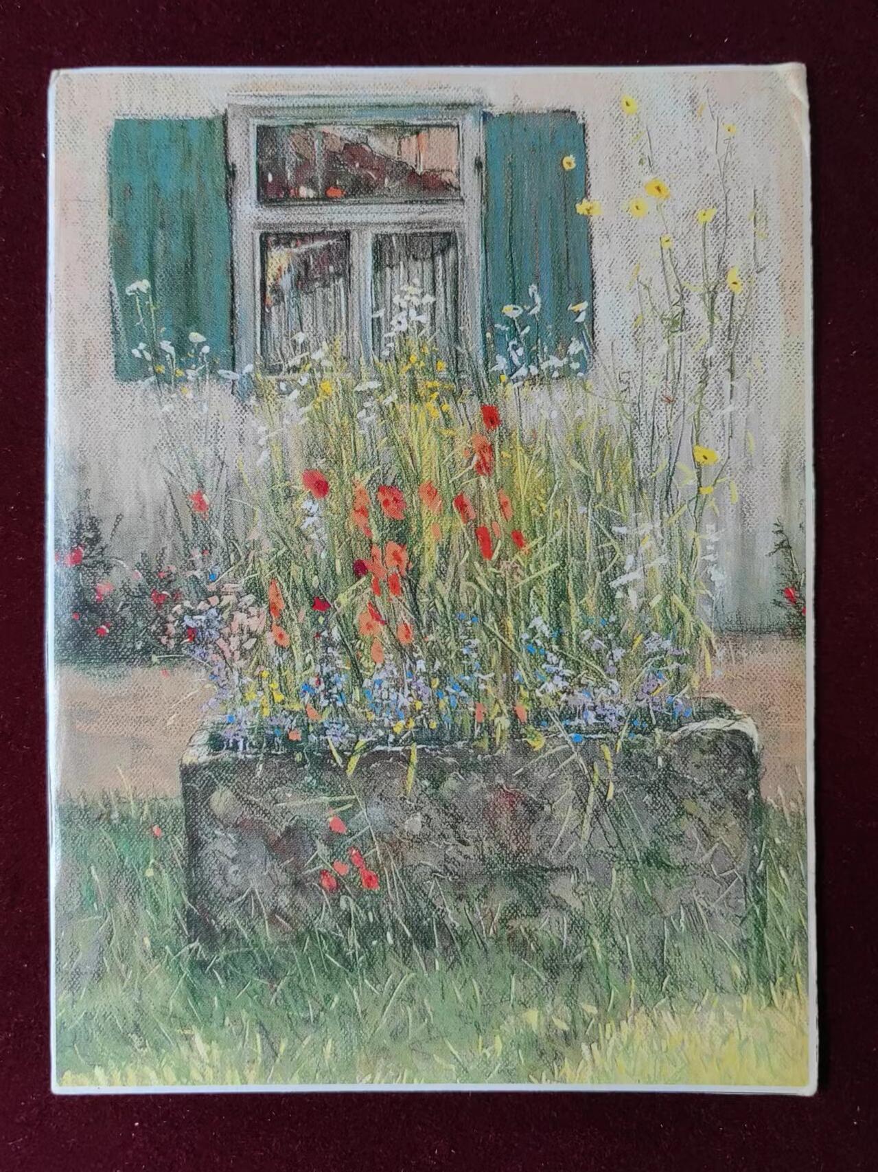 联合阁邮币社™ ——“明信片专场” 巴德沃里斯霍芬花槽