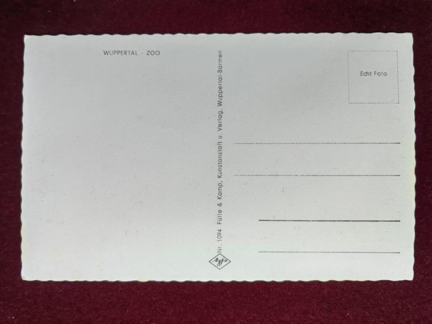 联合阁邮币社™ ——“明信片专场” 北极熊 