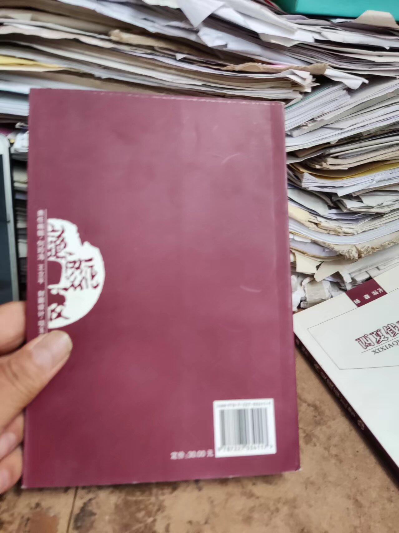 西夏钱币汇考（8.5品左右）
