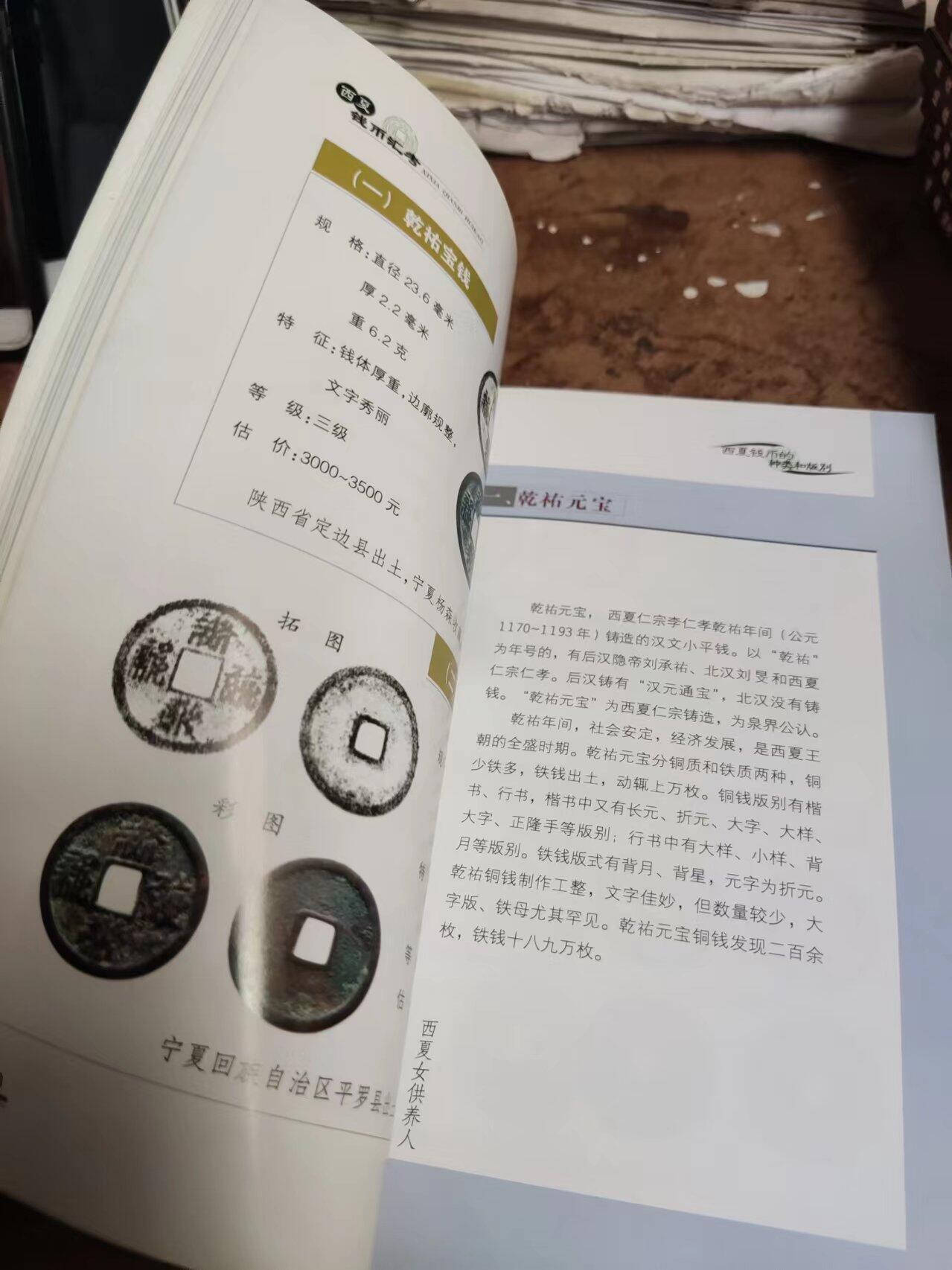 西夏钱币汇考（9品左右）