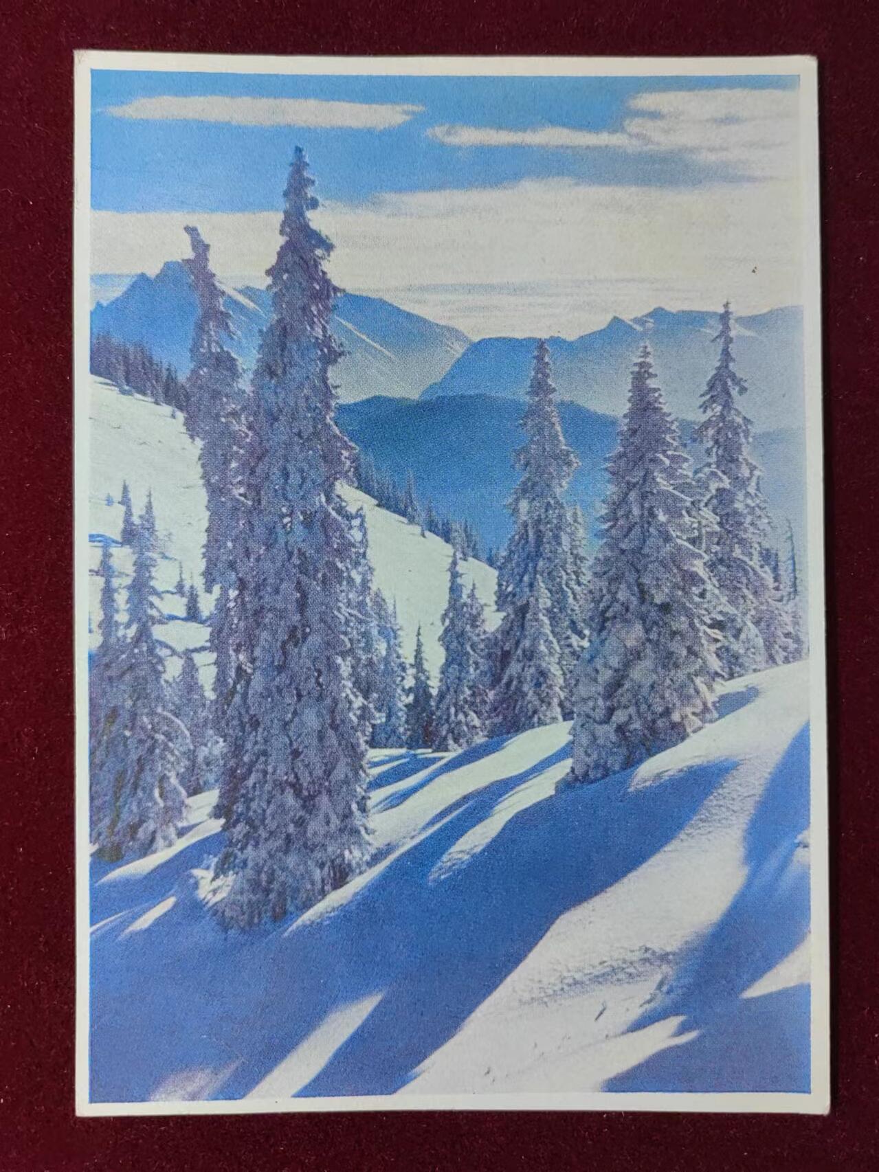 联合阁邮币社™ ——“明信片专场” 雪景