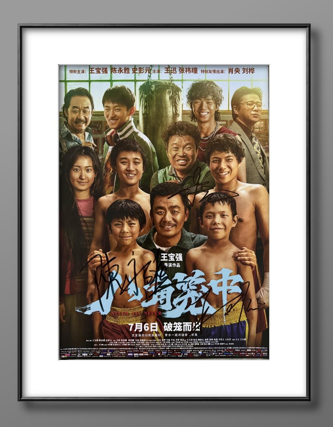 零元拍：导演兼男主 王宝强、陈永胜、史彭元三位主演亲笔签名亲笔签名《八角笼中》海报，尺寸300/420MM