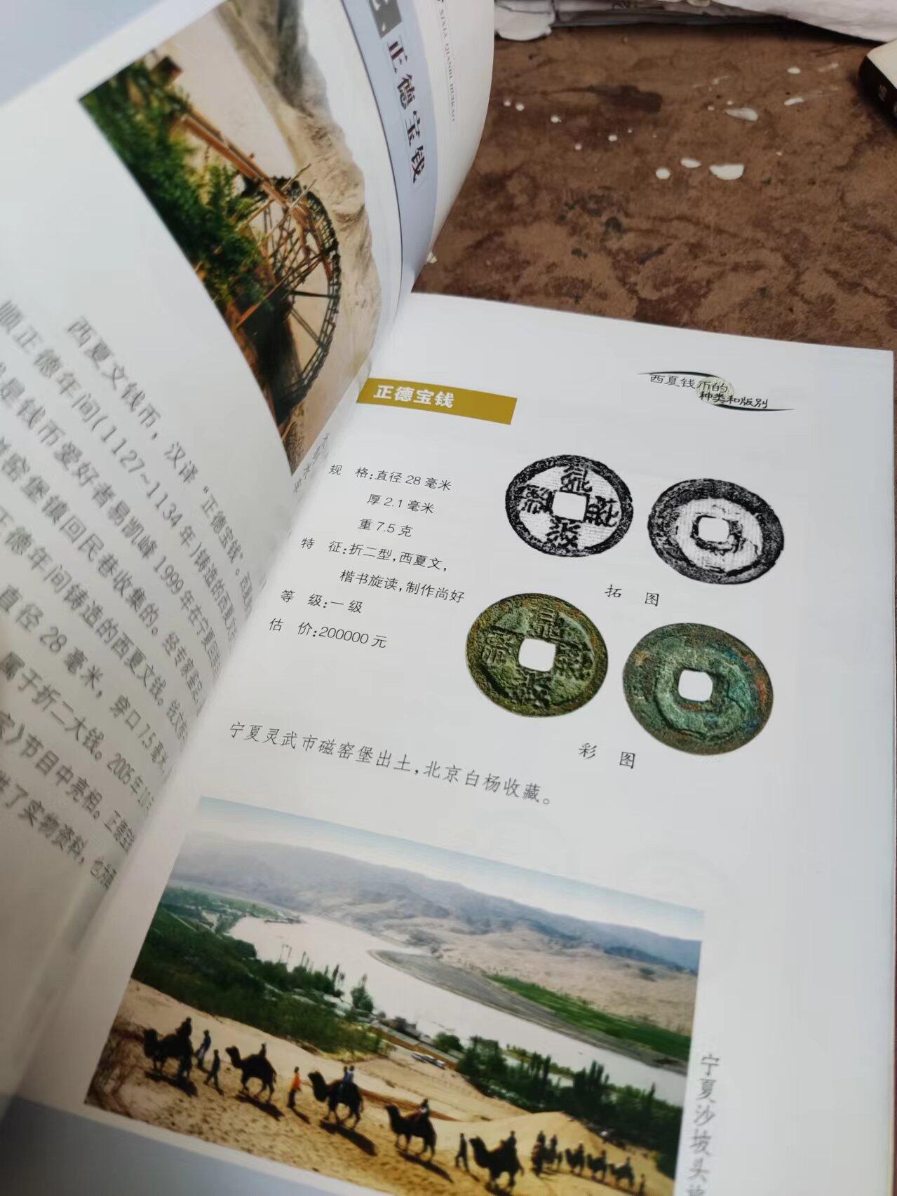 西夏钱币汇考（8.5品左右）