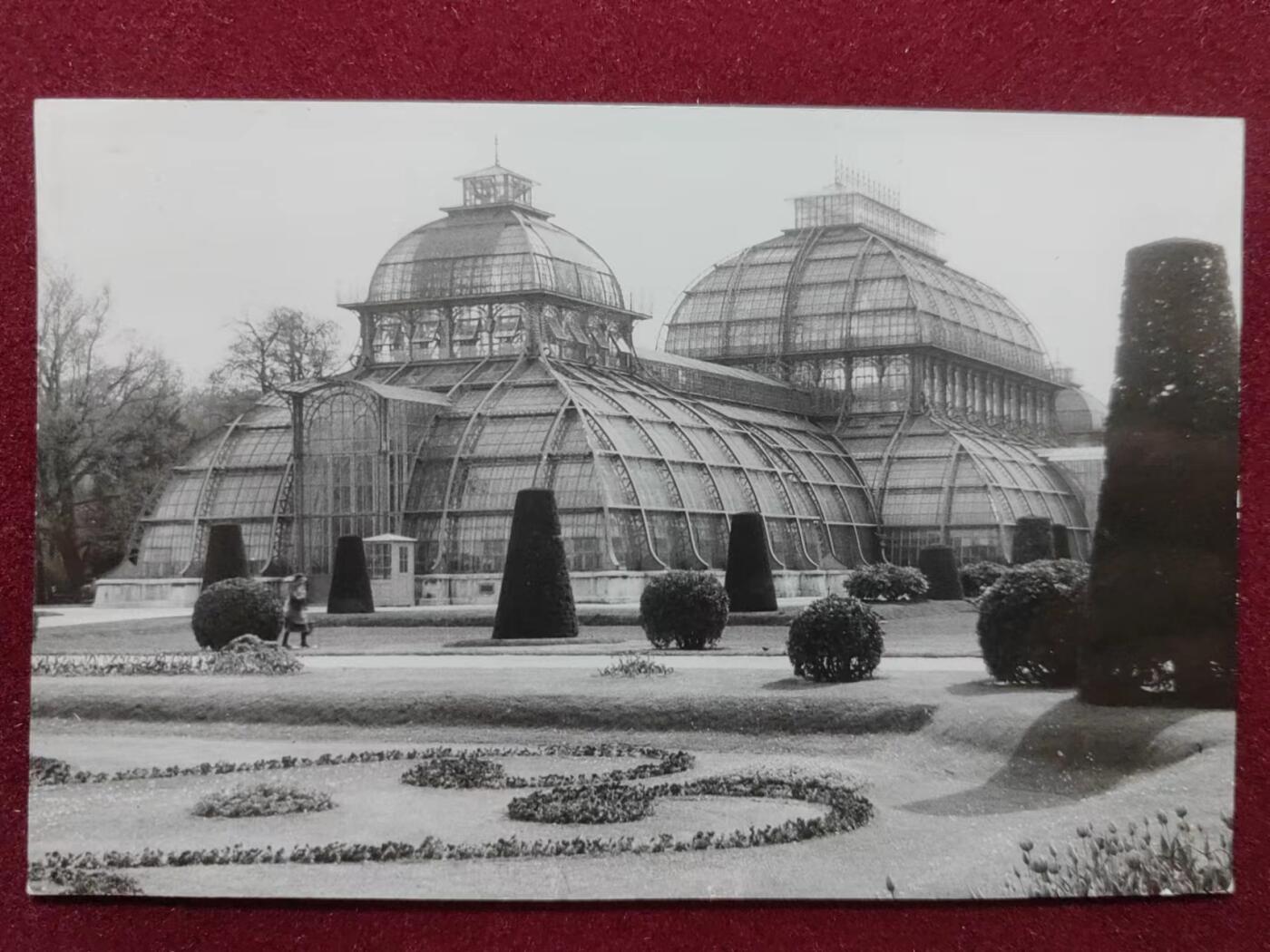 联合阁邮币社™ ——“明信片专场” 维也纳建筑物