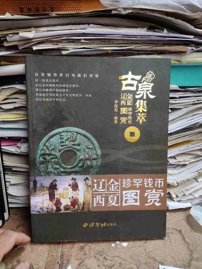 古泉集萃辽金西夏珍罕钱币图赏古泉集萃（8.5品左右） - 古泉集萃辽金西夏珍罕钱币图赏古泉集萃（8.5品左右）