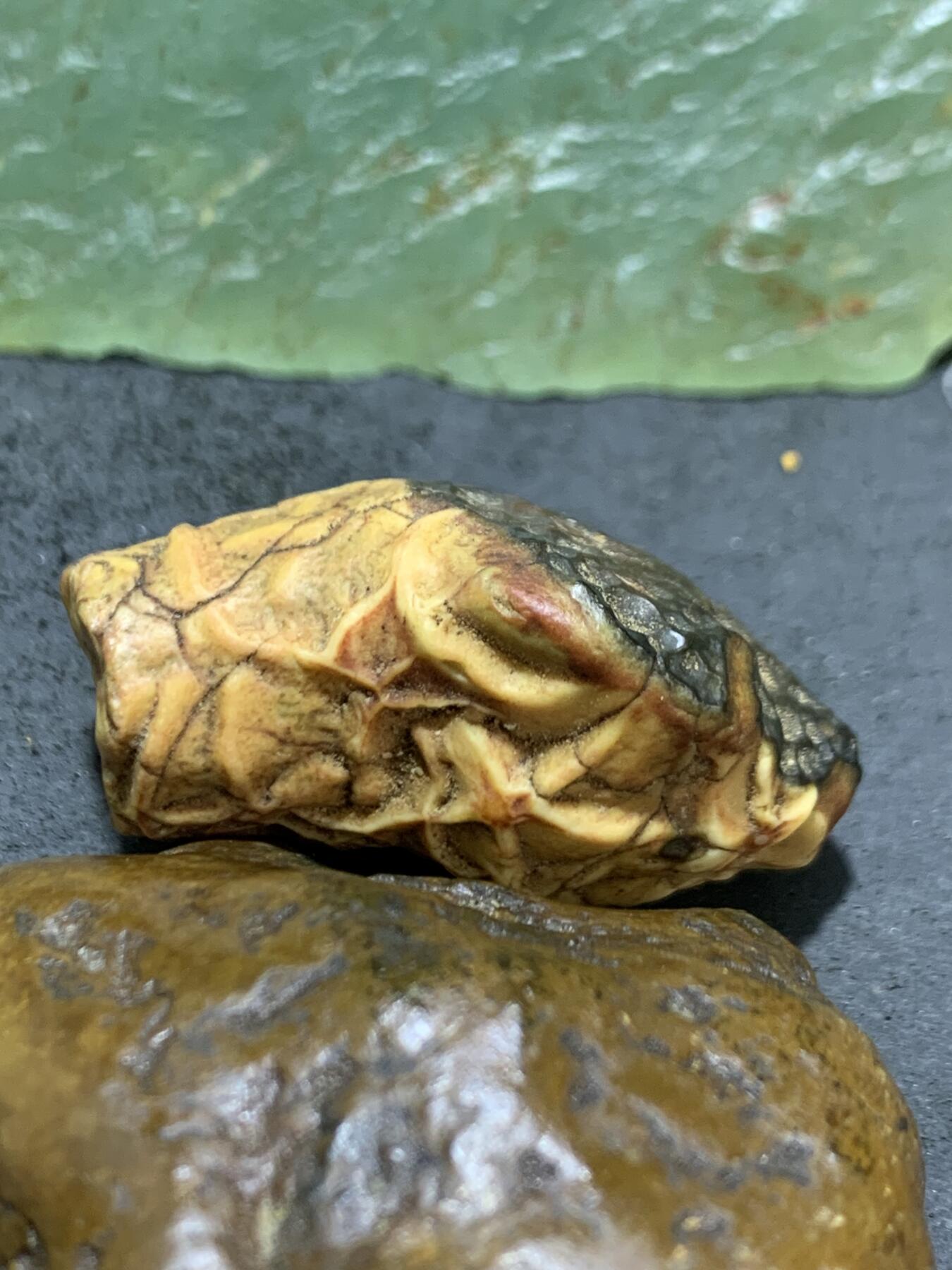 精美地表原皮飘花阿拉筋脉石原石一颗，