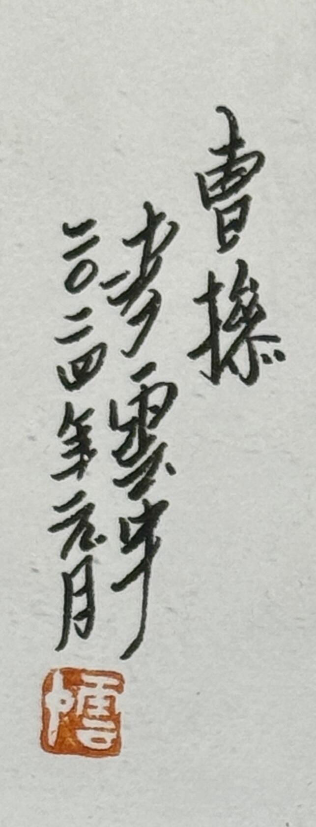白泽拍卖卡牌专场第4期（六月精阳）