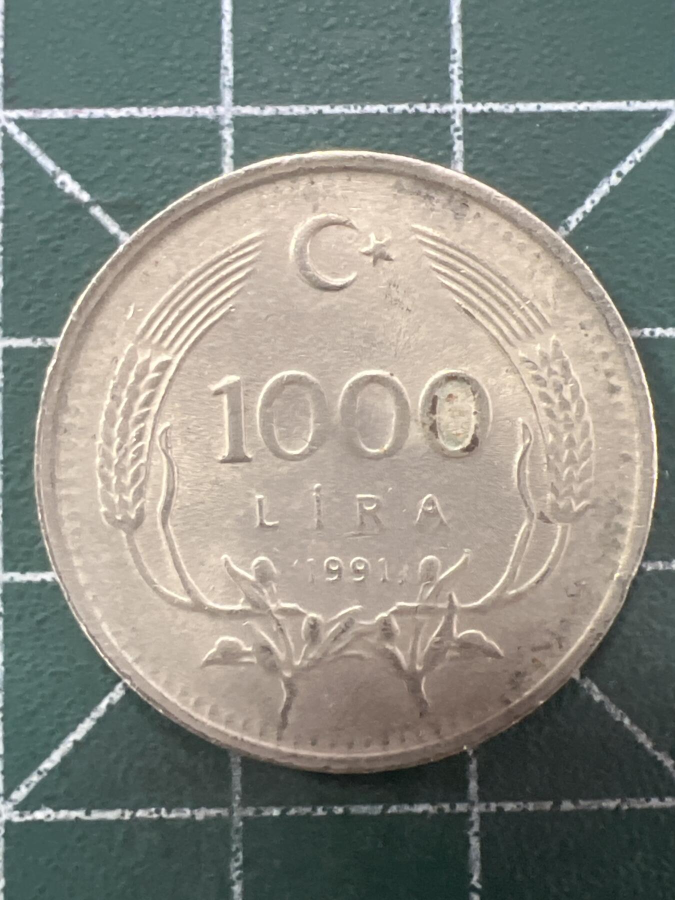 第657期 硬币场 （无押金，捡漏，全场50包邮，偏远地区除外，接收代拍业务，本店十天发一次货） 土耳其1000里拉