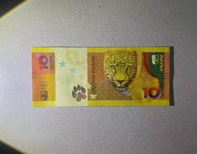 【Blue Auction】✨世界纸币精拍第498期【精】 【AA冠888豹子号 倒置号】阿布哈兹 2024年10阿沙 全新UNC