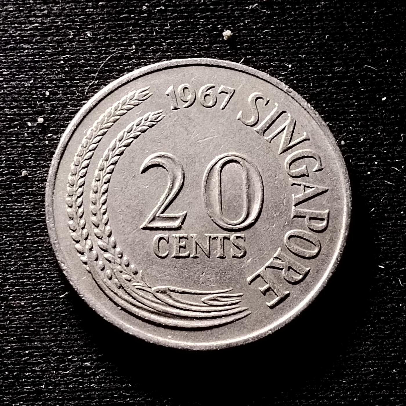 20240628 剑鱼