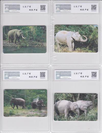 《卡拍》第294期拍卖6月30日晚22：10时延时截拍 中国电信通用IC卡《IC-40亚洲象》四全新卡，JS江苏版，公博评级，（4-1）评分MS67分，另三枚MS68分。