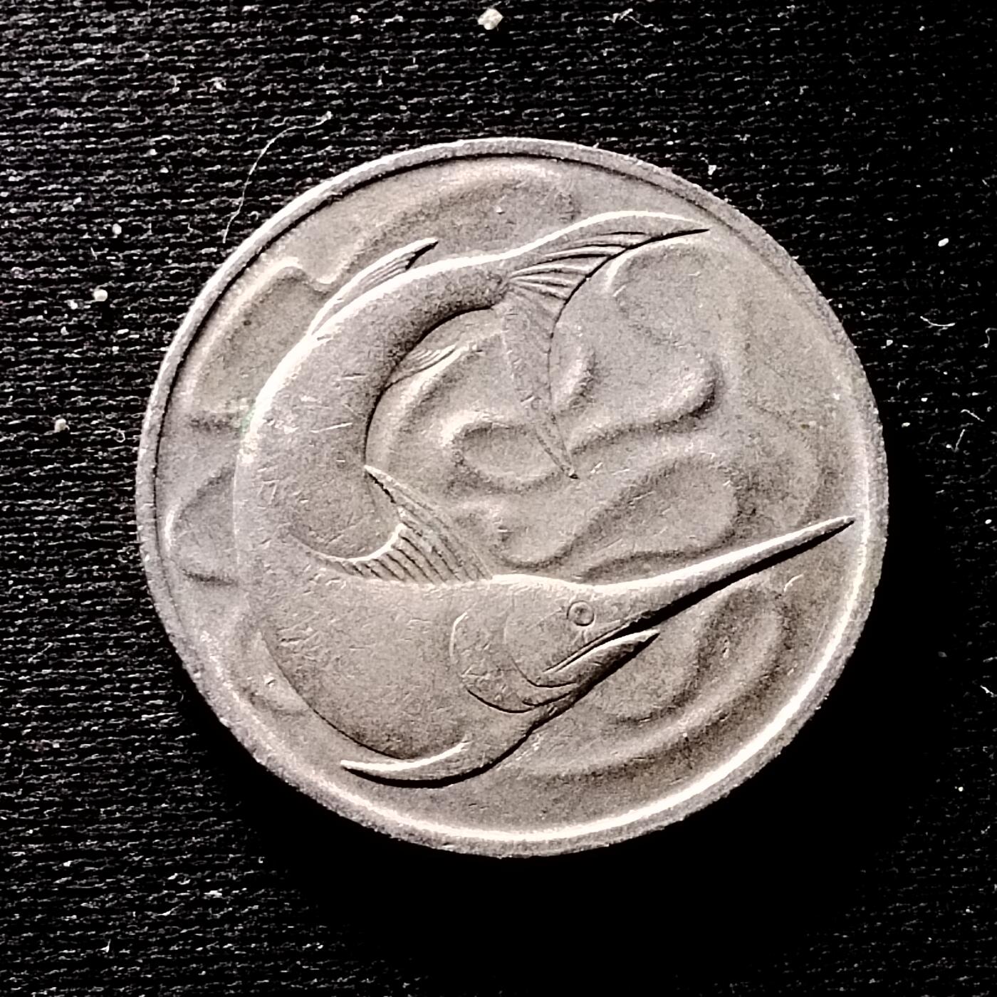 20240628 剑鱼