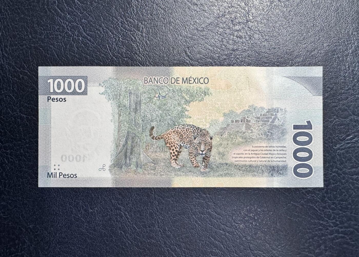 收藏联盟Quantum Auction 第357期拍卖  墨西哥2019年1000比索 品相全新UNC AA首发冠 墨西哥第三十三总统马克罗