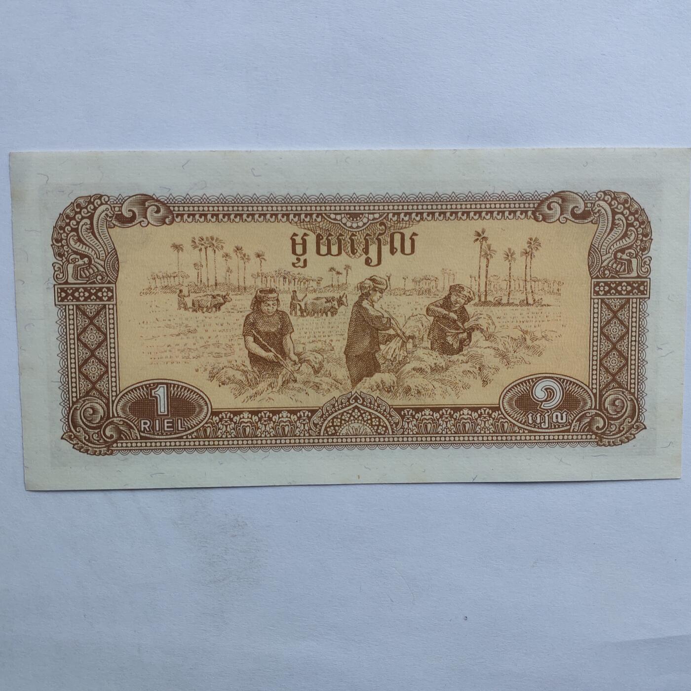 外国纸币捡漏专场第二期（无押金可累计，捡漏，全场50包邮，偏远地区除外 外国纸币