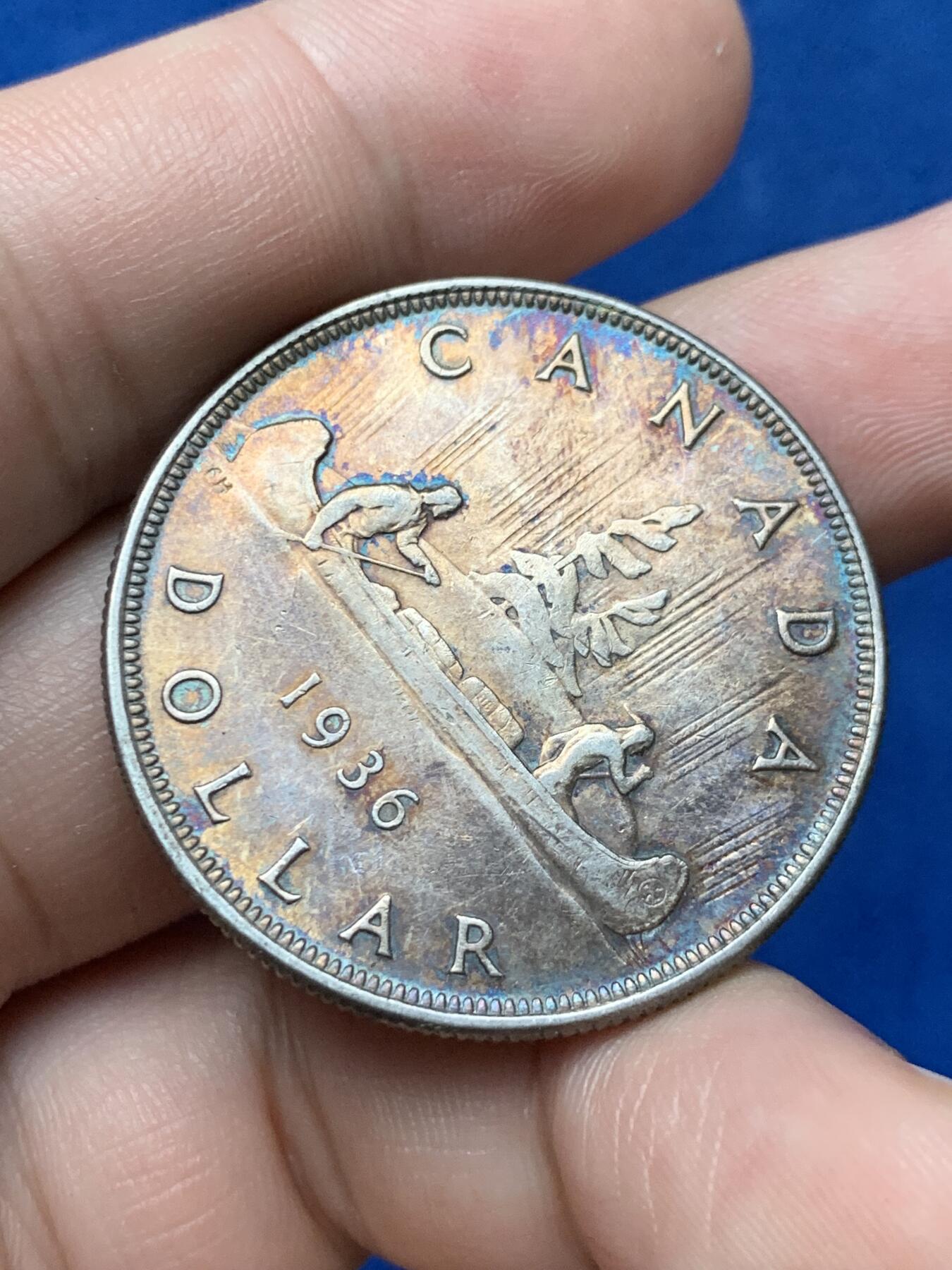 《竞宝斋》第284场- 周日，周一 2场连拍 （全场包邮） 1936年 加拿大一元大银币 五彩金包浆好品 36年远少于35年