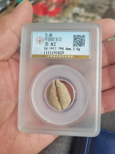 先秦贝币，盒子币，品相如图，看好再拍，按图发货，自然光下拍，微有色差，请谅解，谢谢惠顾！ - 先秦贝币，盒子币，品相如图，看好再拍，按图发货，自然光下拍，微有色差，请谅解，谢谢惠顾！