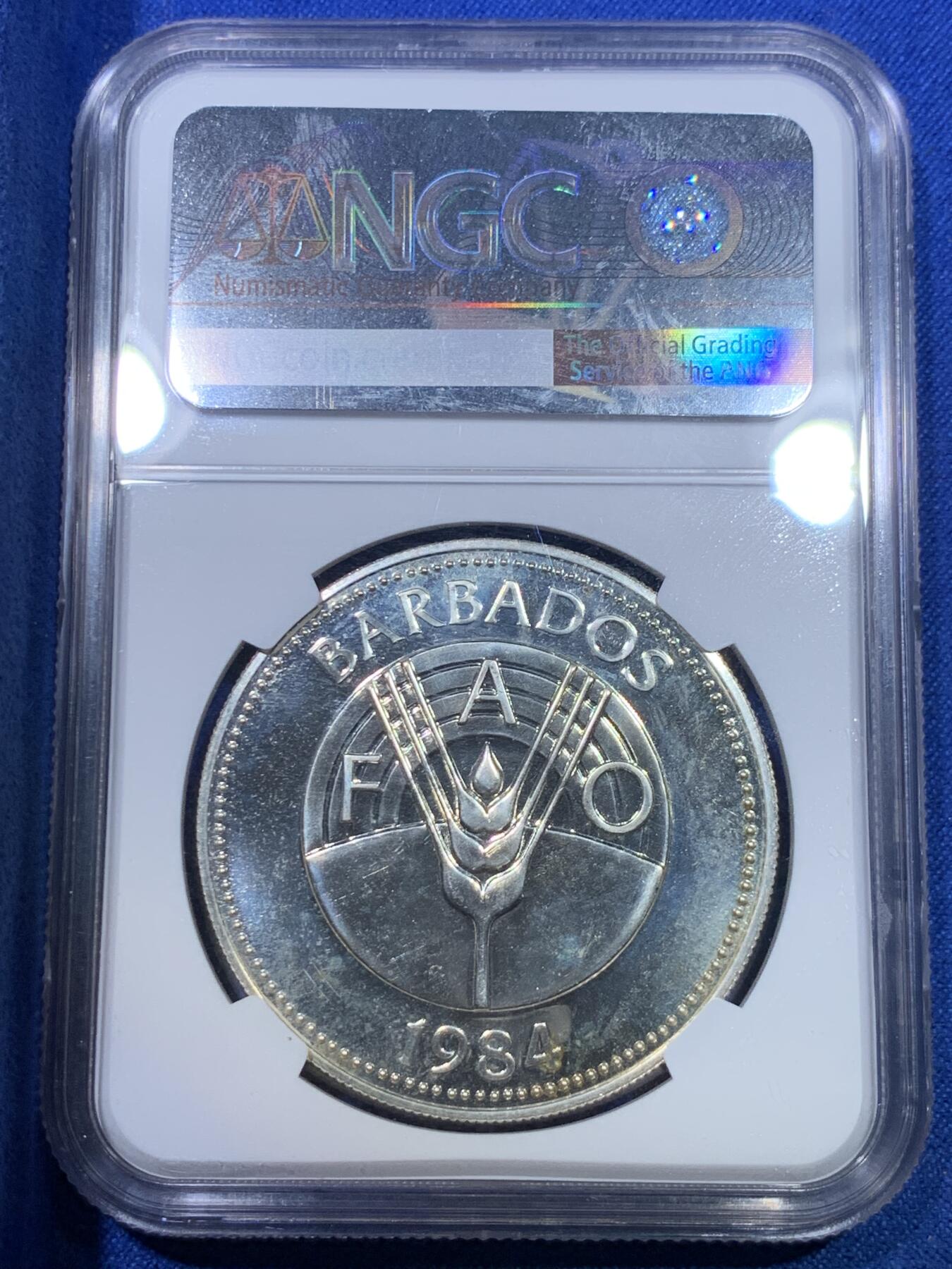 《竞宝斋》第284场- 周日，周一 2场连拍 （全场包邮） NGC MS64 巴巴多斯1984四翼飞鱼50元银币 红丝带定制标