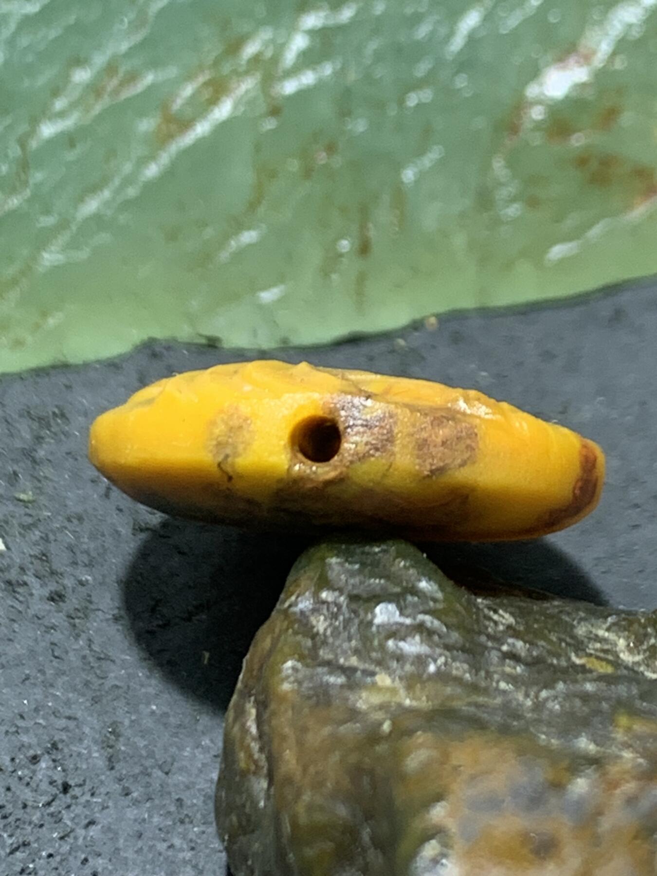 精美亚光草花纹战国红玛瑙手工俏色巧雕金鲤鱼板珠（背云）一个
