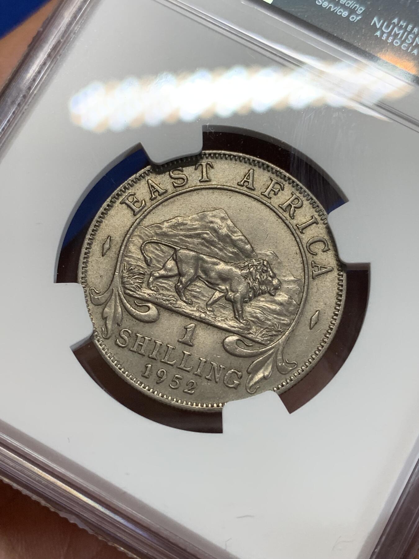 《竞宝斋》第284场- 周日，周一 2场连拍 （全场包邮） NGC MS62 英属东非1952年1先令镍币 很少见的品种 工艺问题 62分已经是很不错的分数了 面值面狮子栩栩如生 细节非常好