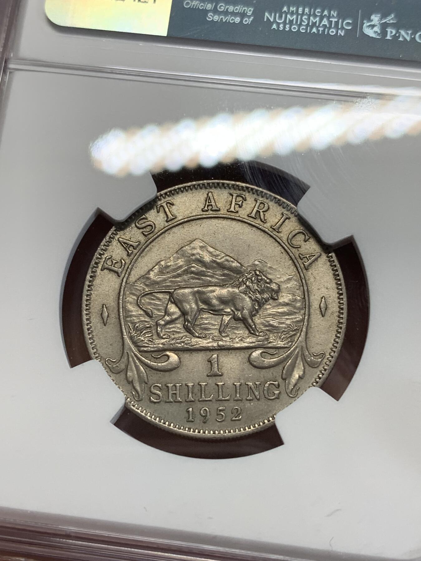 《竞宝斋》第284场- 周日，周一 2场连拍 （全场包邮） NGC MS62 英属东非1952年1先令镍币 很少见的品种 工艺问题 62分已经是很不错的分数了 面值面狮子栩栩如生 细节非常好