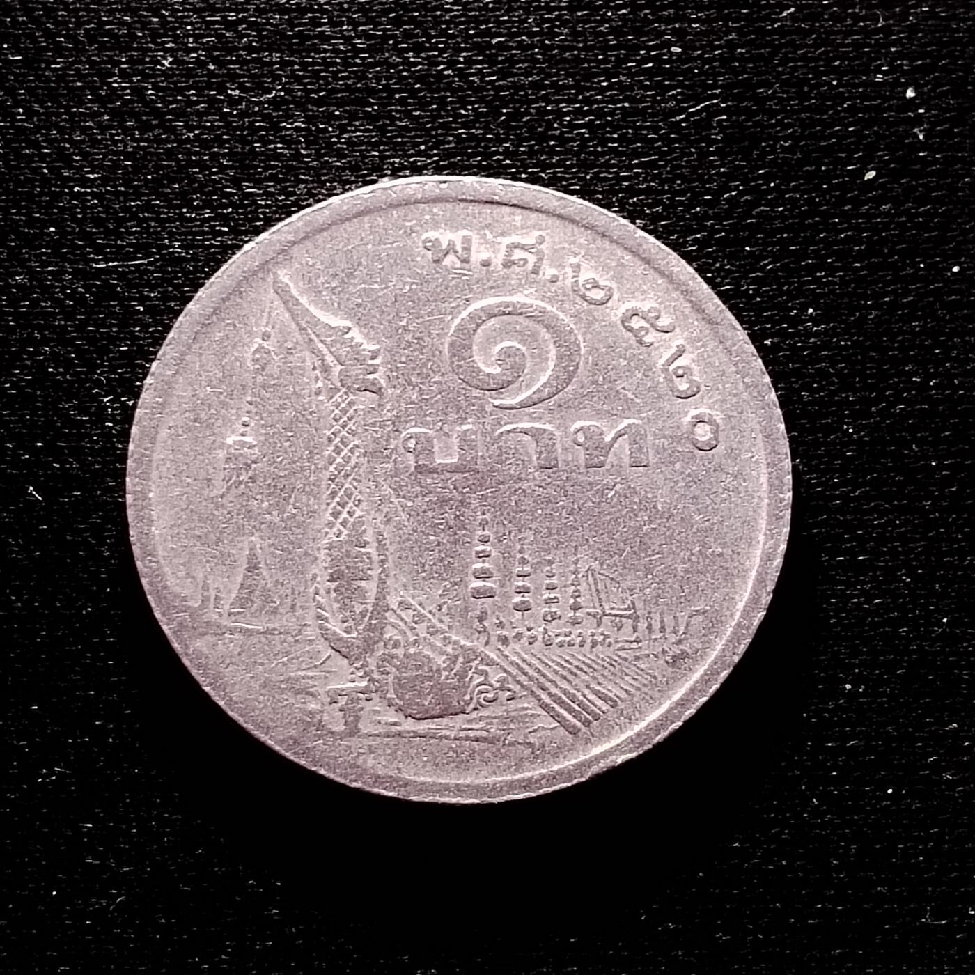 20240701 龙舟