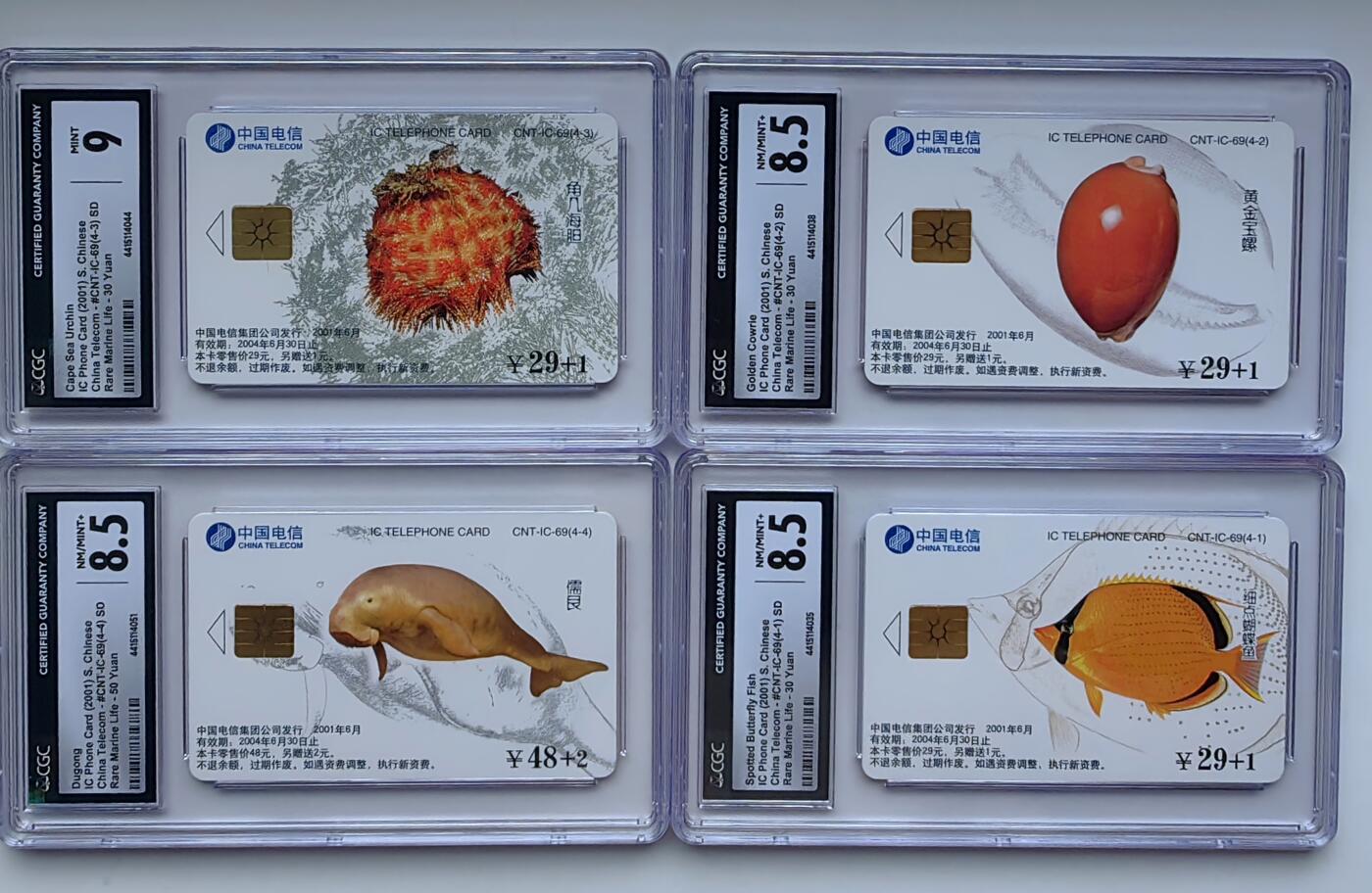 乐玩集藏第30期中国电话卡（CGC/PCGS/GBCA）（7月3日20:00直播结拍） IC-69海洋生物山东原地版 CGC8.5*3,9分