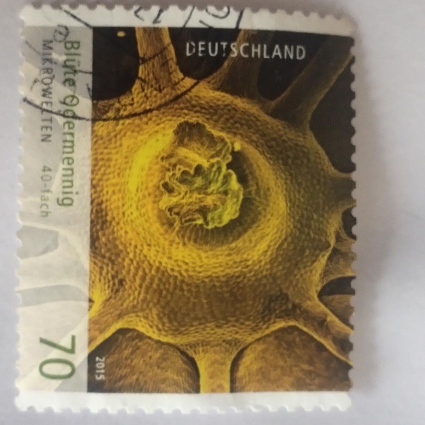 外国邮票捡漏专场第二期（无押金可累计，捡漏，全场50包邮，偏远地区除外 外国邮票