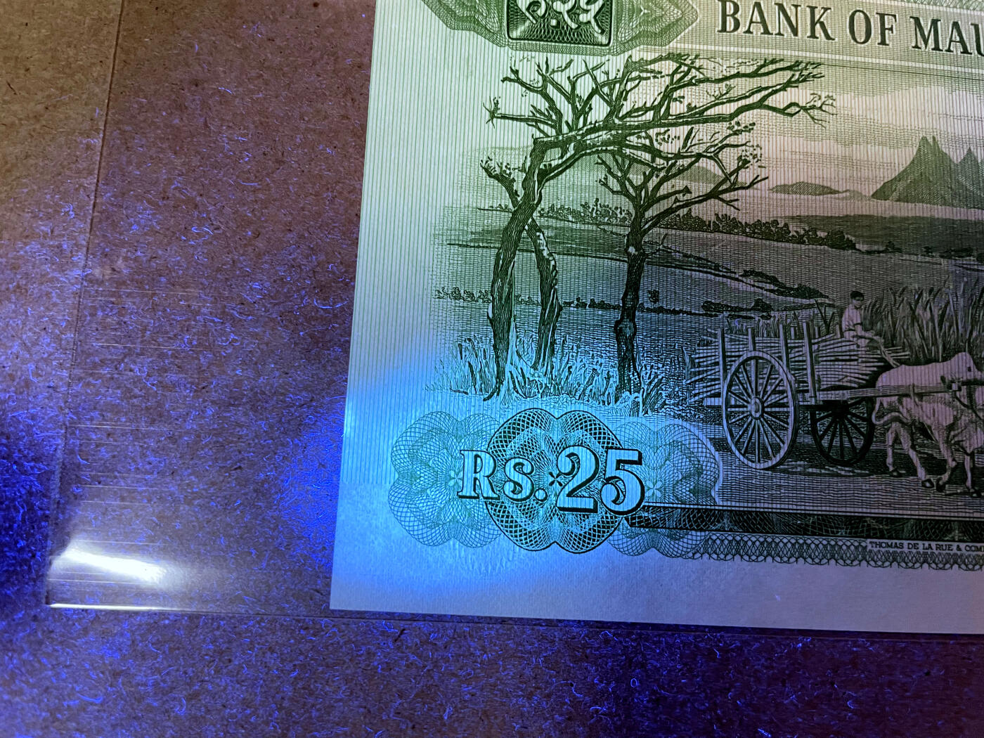 【Blue Auction】✨世界纸币精拍第499期【精】 【无47】毛里求斯 1967年25卢比 戎装女王 UNC-