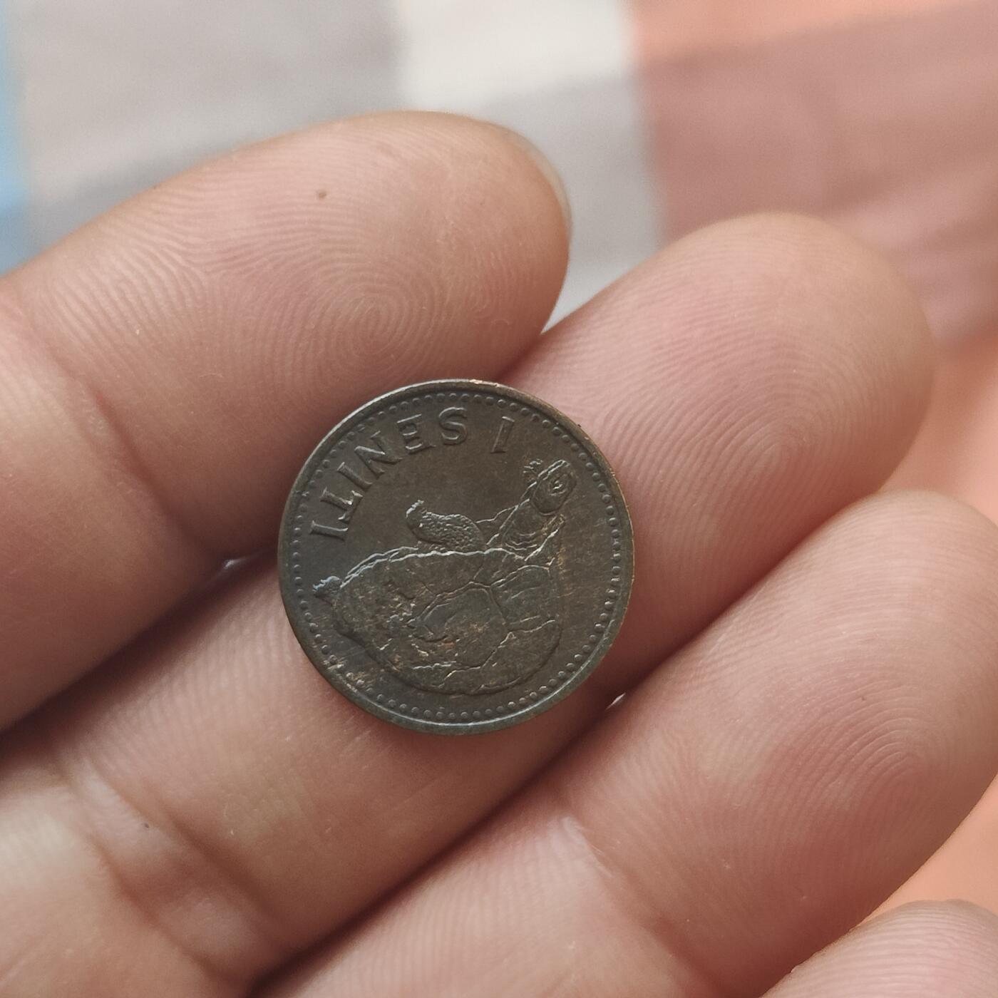 英雄古币捡漏专场第一期无押金可累计捡漏，全场50包邮，偏远地区除外。 汤家小乌龟