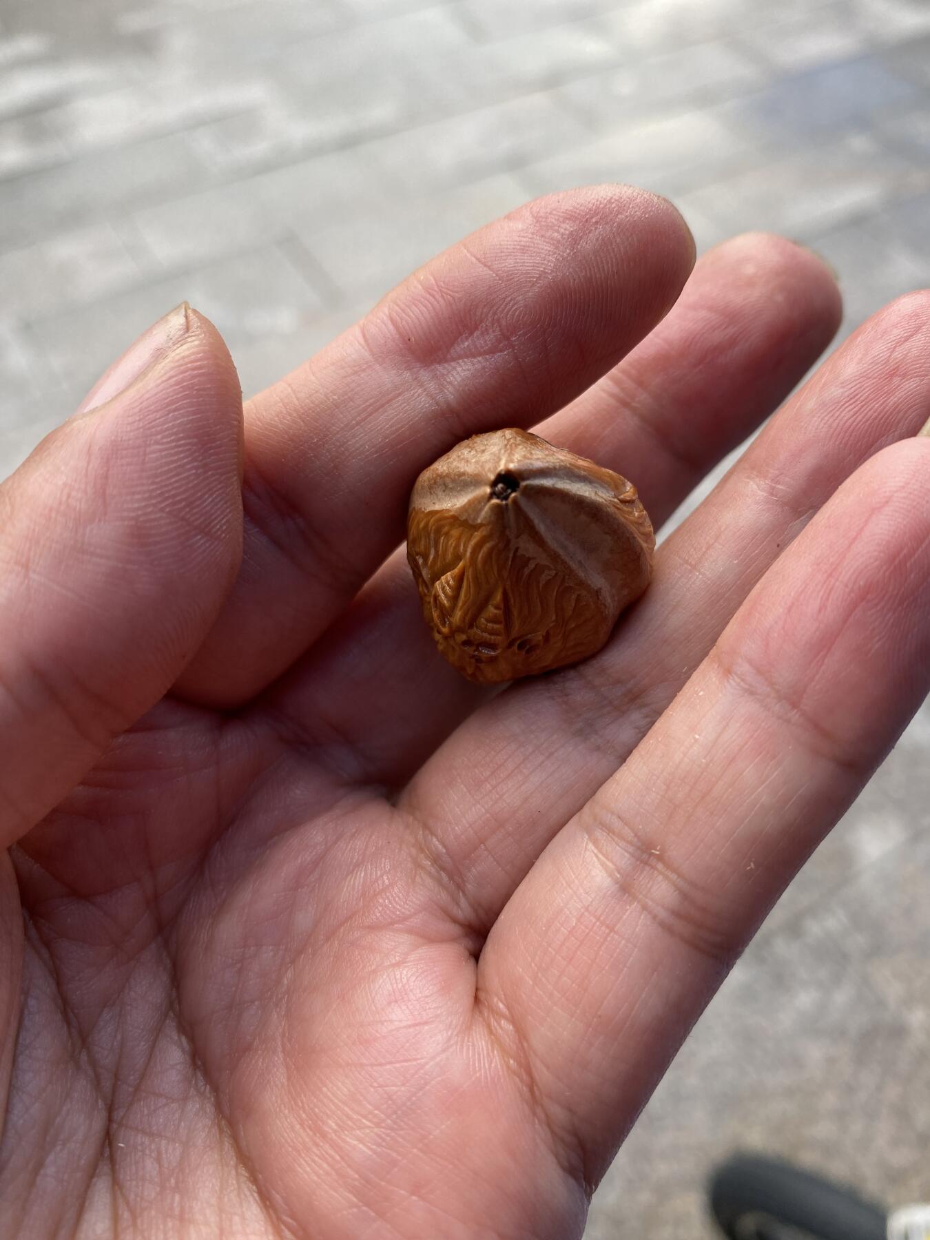 苏工手工核雕传统非物质文化遗产