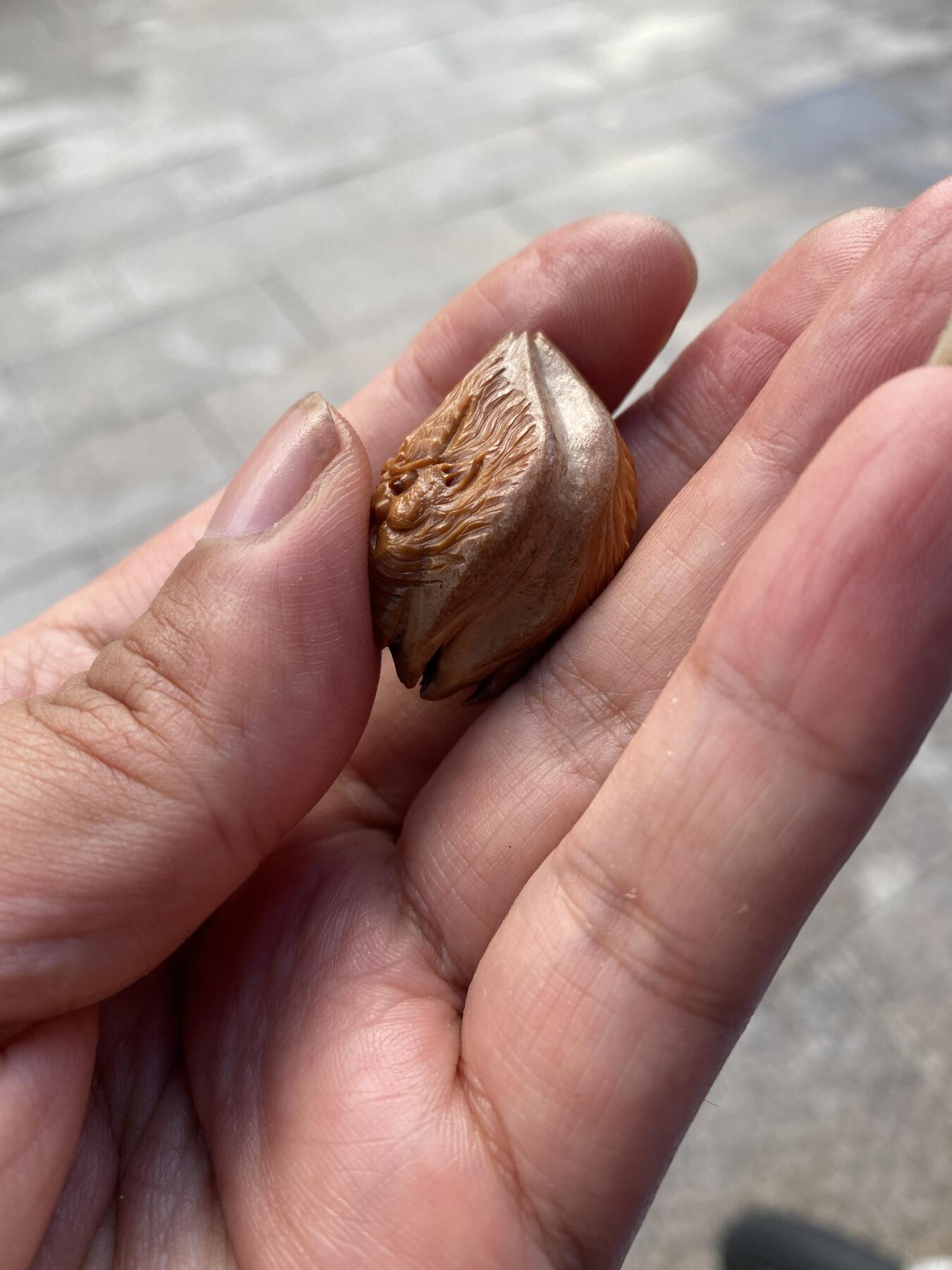 苏工手工核雕传统非物质文化遗产