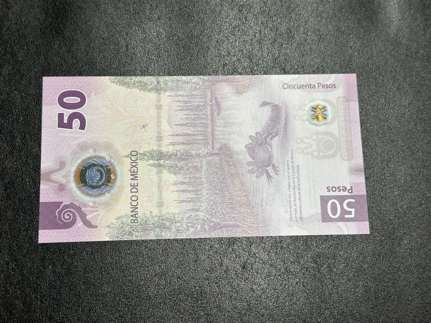 《外钞收藏家》第三百九十七期 2021年墨西哥50比索 AA冠 无47