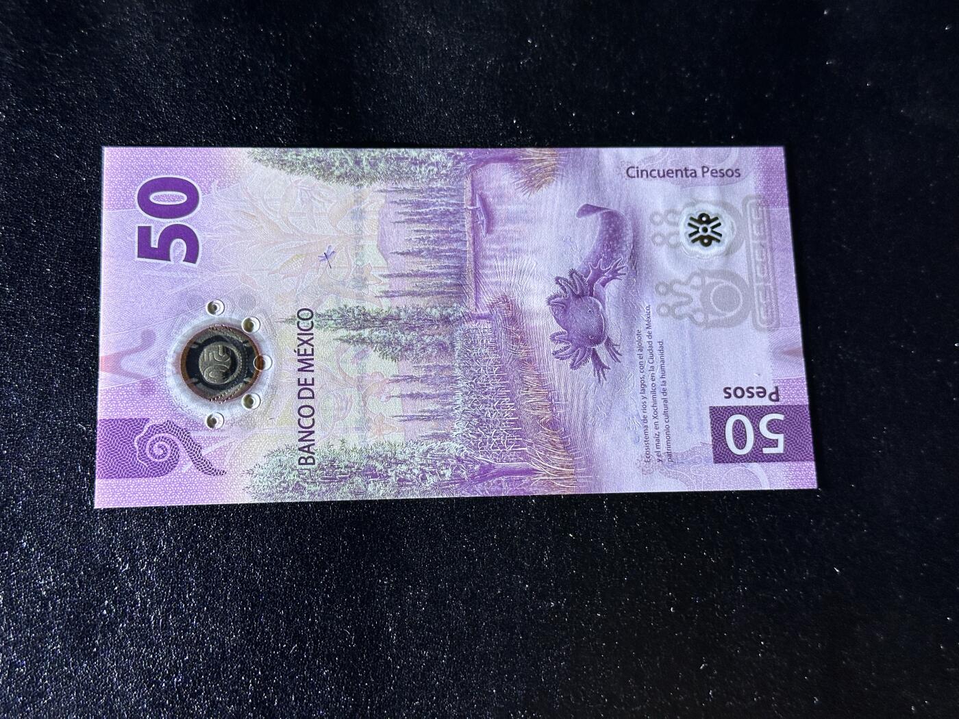 《外钞收藏家》第三百九十七期 2021年墨西哥50比索 AA冠 无47