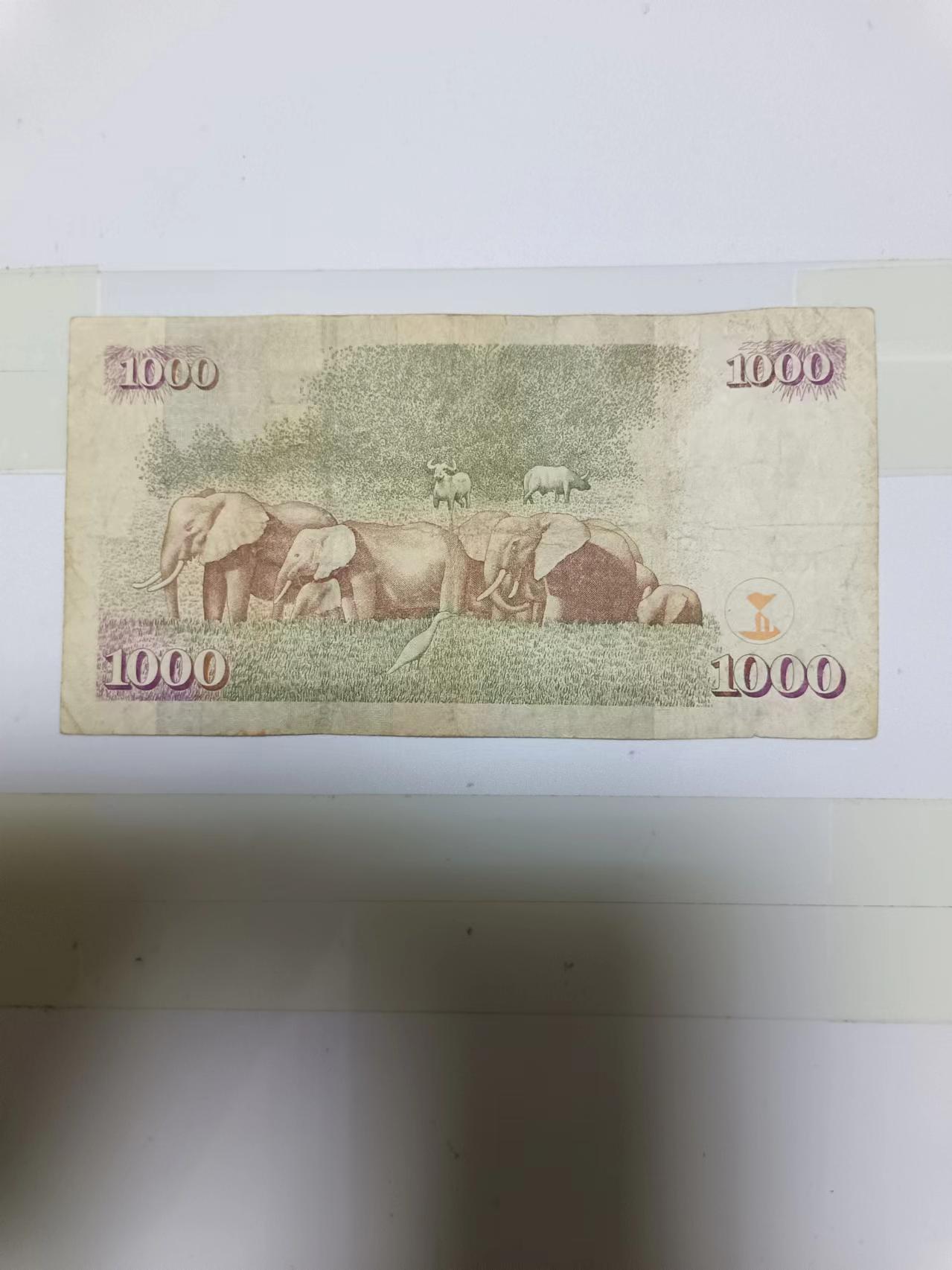 【20240710】非全新纸币第149场 肯尼亚1000先令