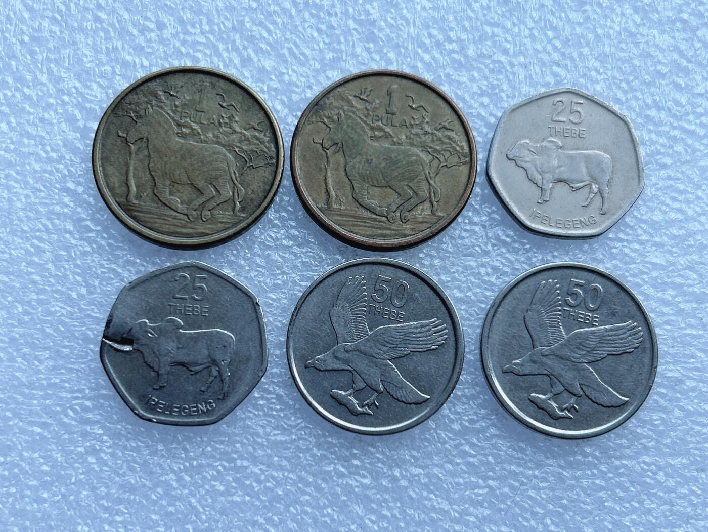 第一海外回流一元起拍收藏 散币专场 第101期 博茨瓦纳🇧🇼