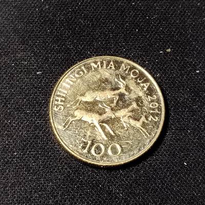 20240704 坦桑尼亚