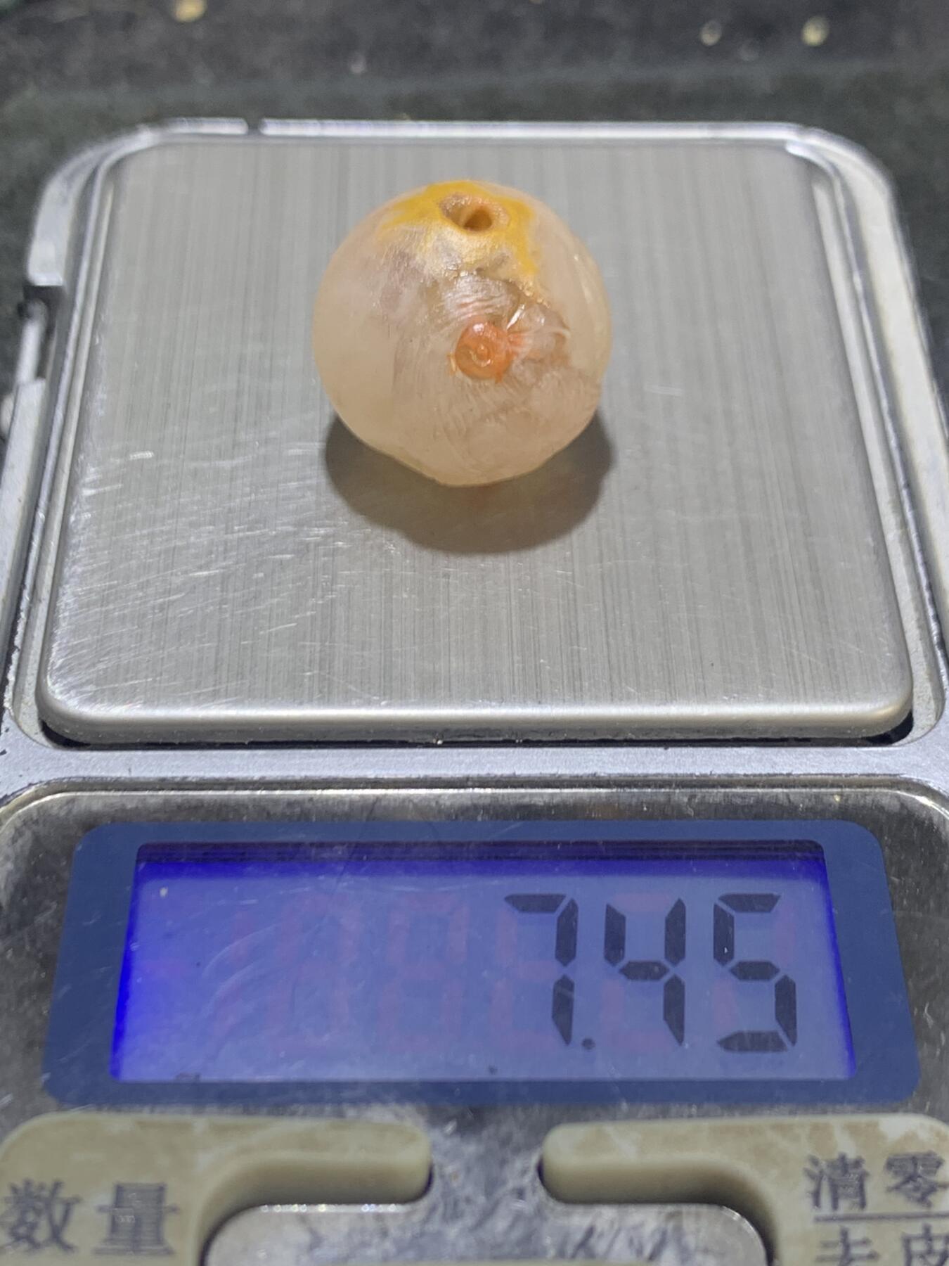 精美冰飘亚光满冰飘糖心战国红玛瑙巧雕喜上眉梢随形珠一个，