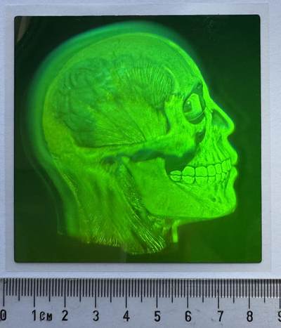 2024第27场（总第179期）：精品外钞、测试钞专场 - 3D激光深层次全息“人脑结构”图样本UNC（绿变黄）