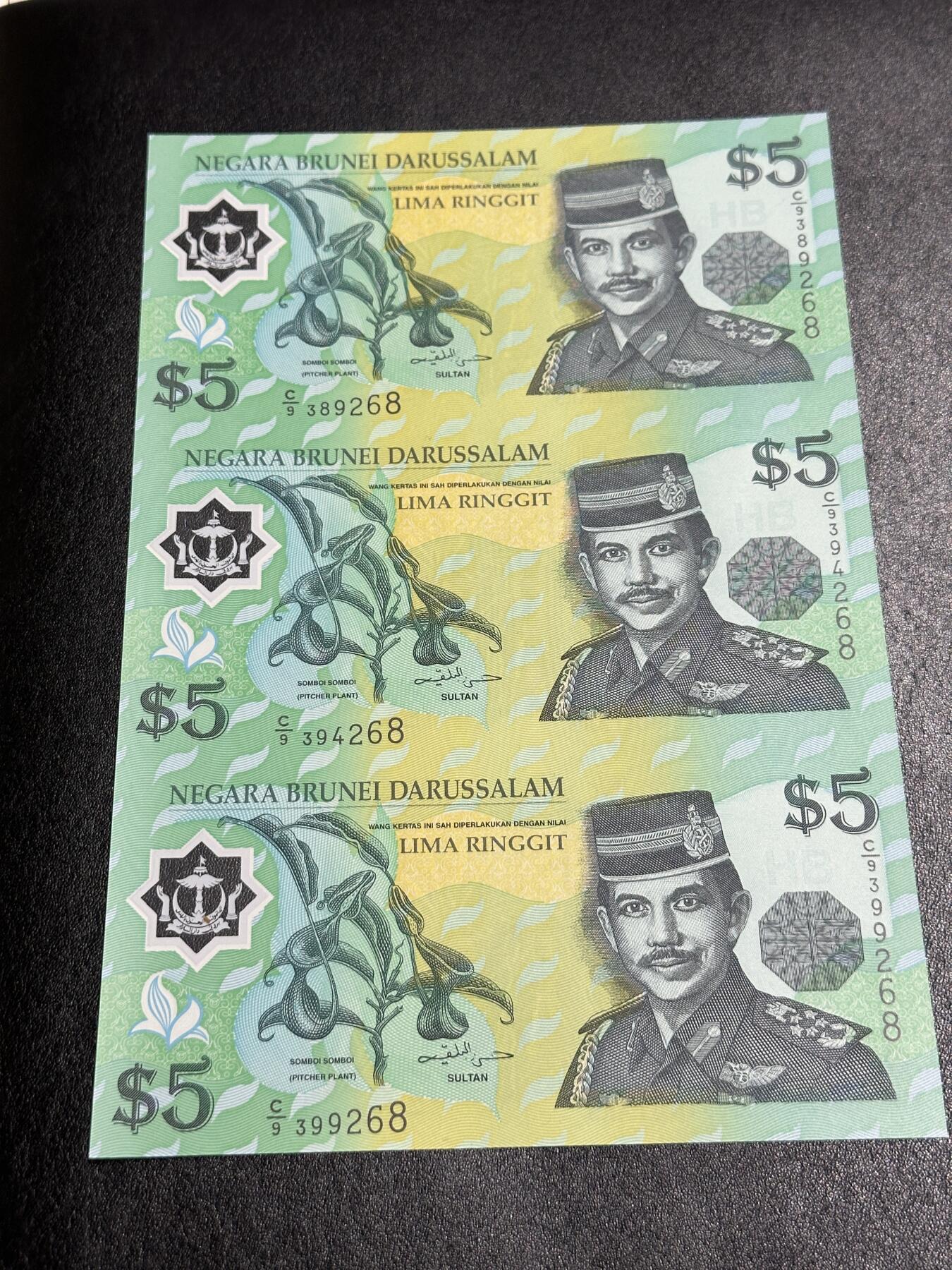 《外钞收藏家》第三百八十八期 文莱5林吉特 三联体 全新