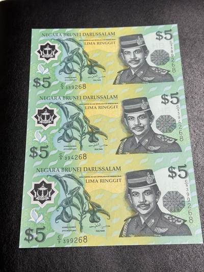 《外钞收藏家》第三百八十八期 - 文莱5林吉特 三联体 全新