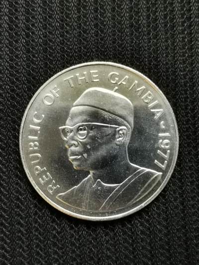 道一币馆币章第七十七场 - 冈比亚1977年保护食蚁兽50达拉西纪念银币 35.29g 925S 4304
