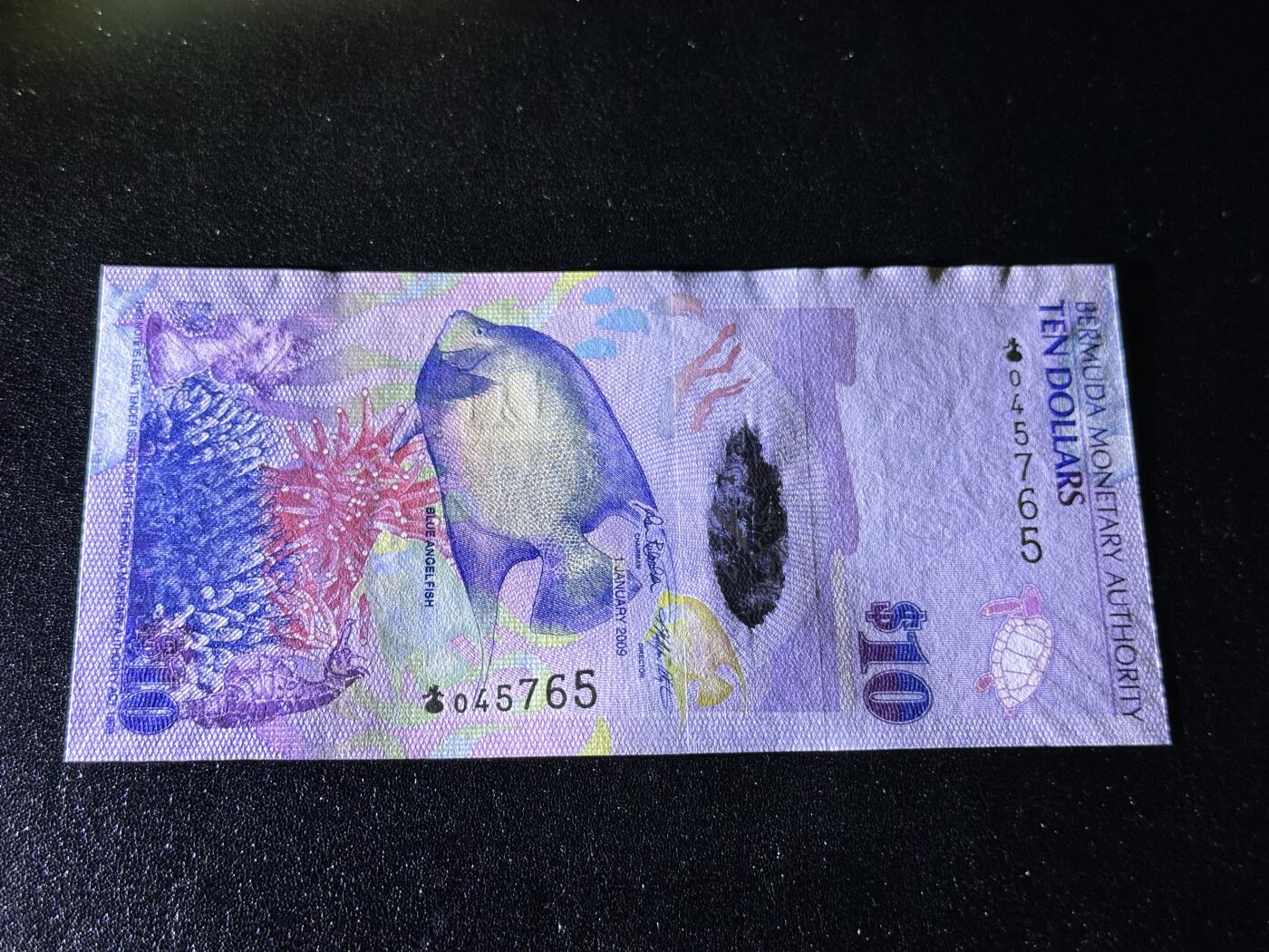 《外钞收藏家》第三百八十八期 百慕大10 洋葱冠 全新UNC