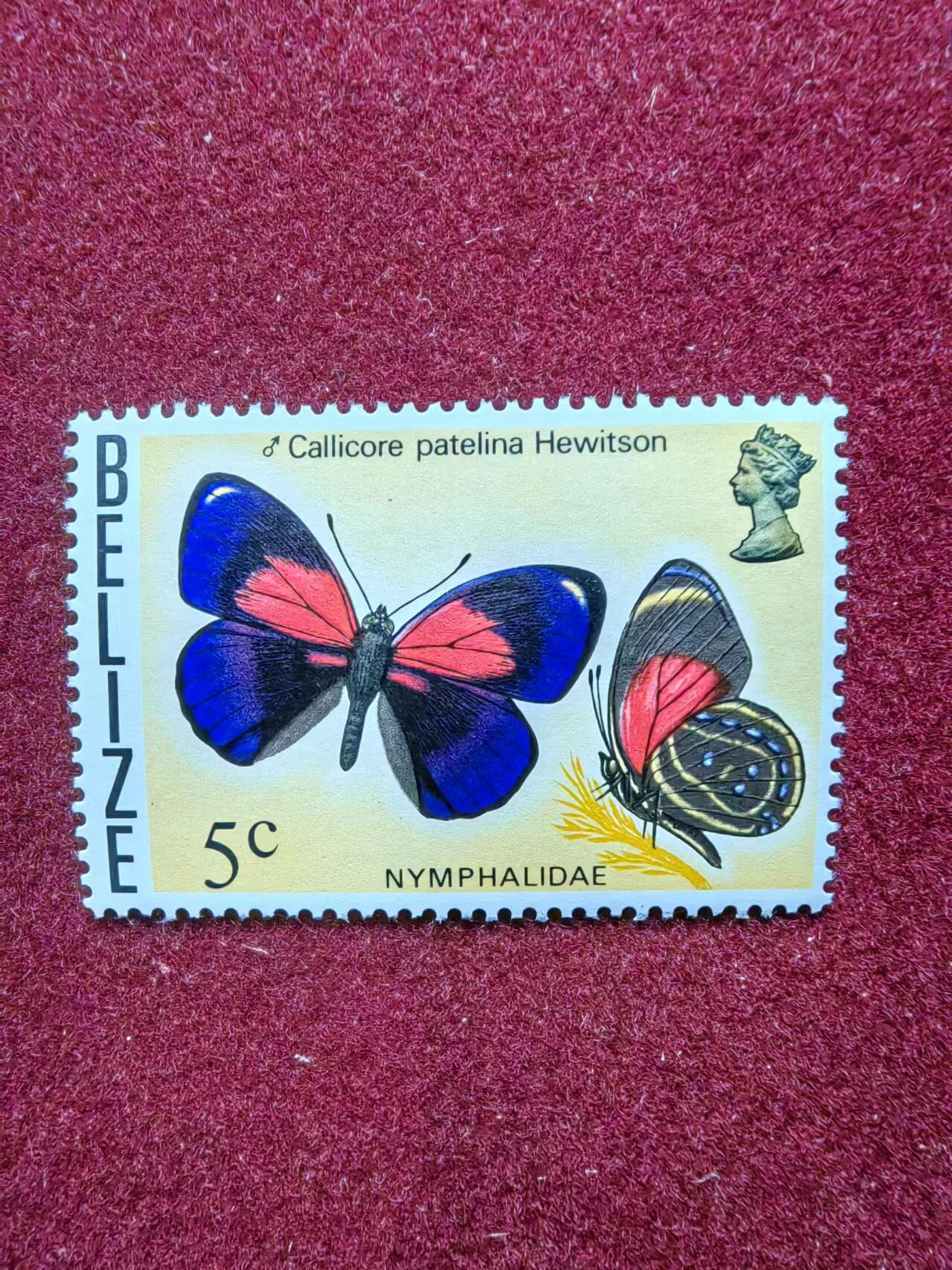 联合阁邮币社™ ——“多国邮票专场”0佣金 英属国