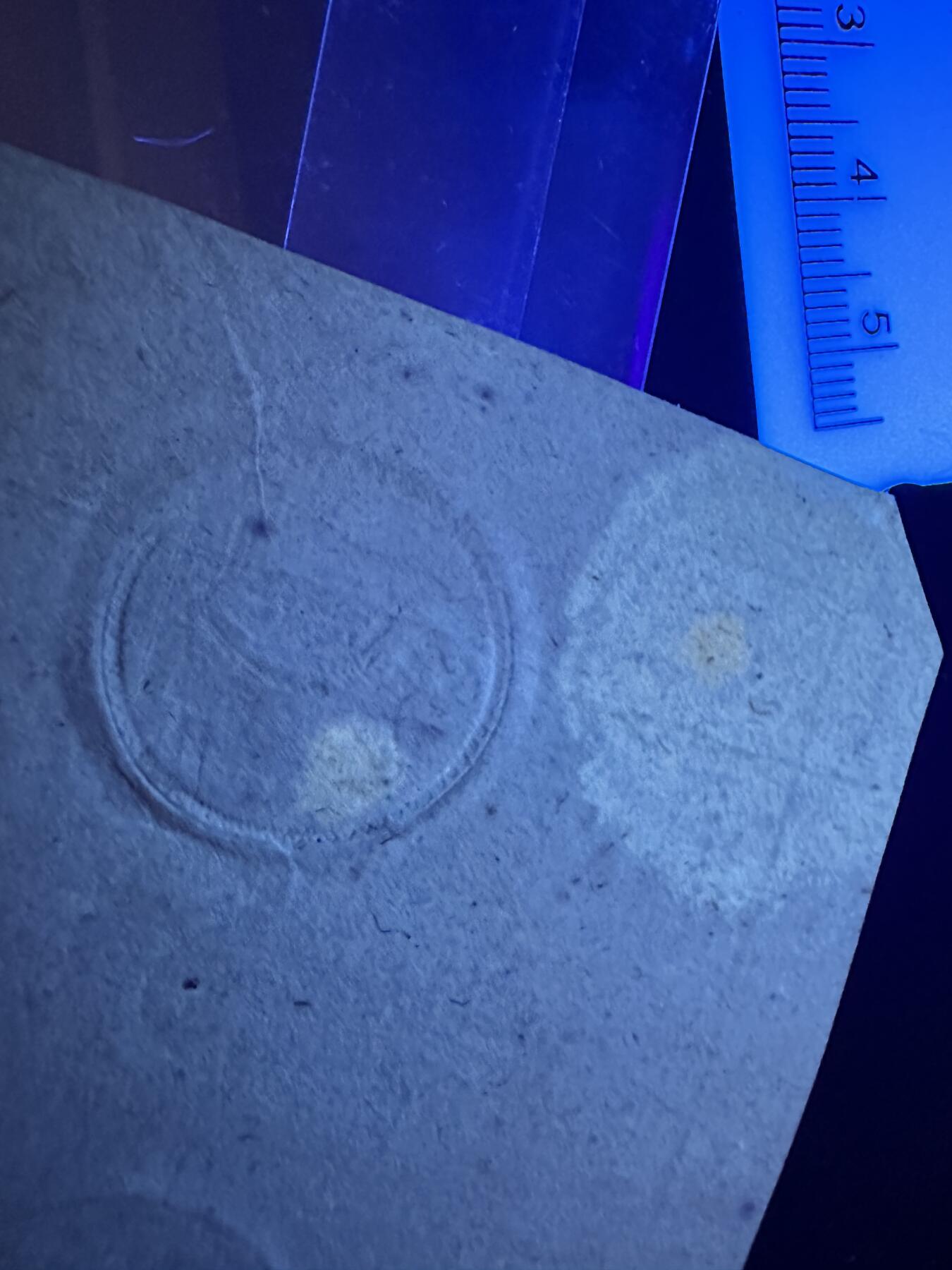 《外钞收藏家》第三百八十八期 1793年法国大革命时期纸币50苏 基本全新